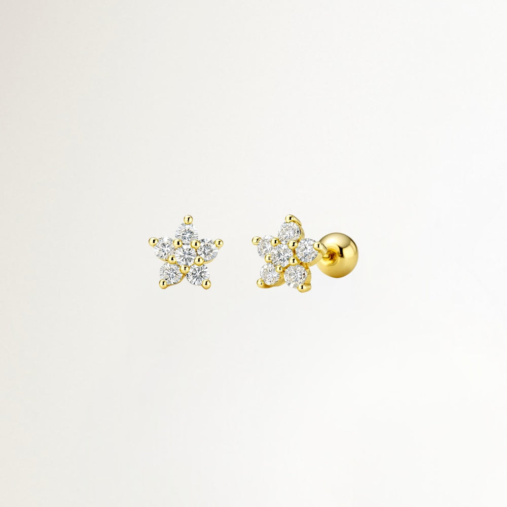 ARO ESTRELLA DE CIRCONES BAÑADO EN ORO (1 UNIDAD)