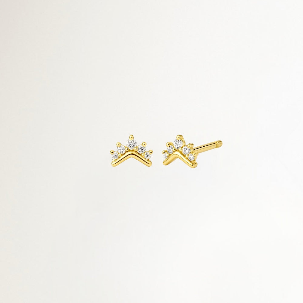 AROS CORONA BAÑADOS EN ORO